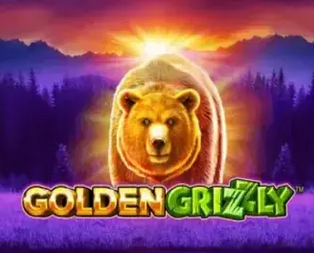 Golden Grizzly
