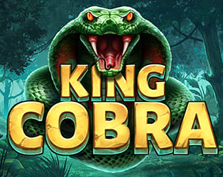 
                             King Cobra