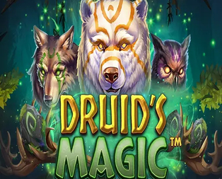 Druid’s Magic