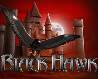 Black Hawk