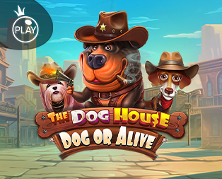 The Dog House – Dog or Alive