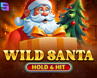 Wild Santa - Hold & Hit