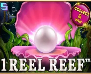1 Reel Reef