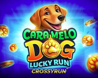 Caramelo Dog: Lucky Run