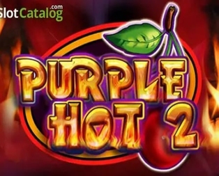 Purple Hot 2