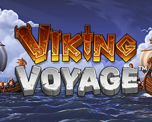Viking Voyage