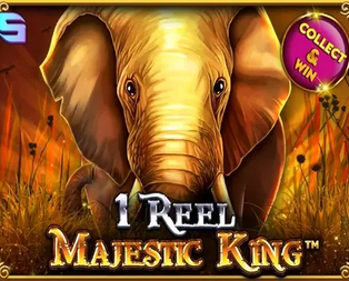 1 Reel Majestic King