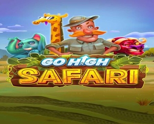 Go High Safari