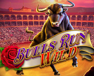 Bulls Run Wild