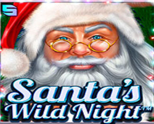 Santa’s Wild Night