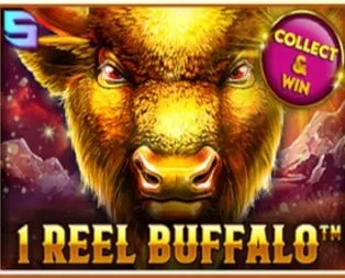 1 Reel Buffalo