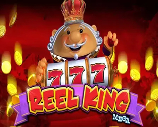 Reel King Mega