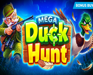 
                            Mega Duck Hunt