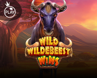 Wild Wildebeest Wins
