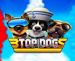 3 Top Dogs