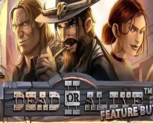 Dead or Alive 2 Feature Buy
