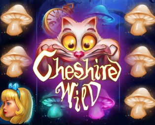 Cheshire Wild