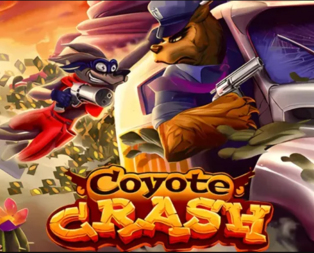 Coyote Crash