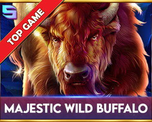 Majestic Wild Buffalo