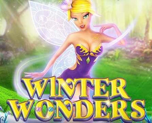 Winter Wonders