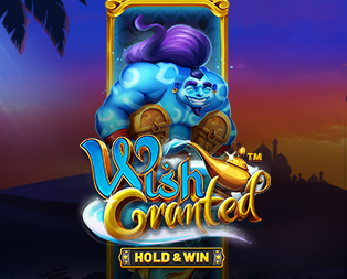 Wish Granted