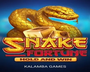 Snake Fortune Hold and Win