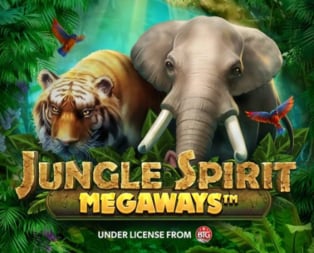 Jungle Spirit Megaways Buy Feature