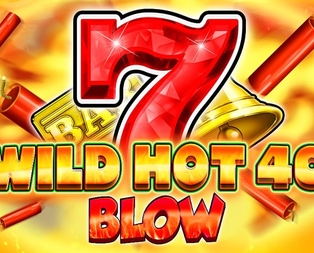 Wild Hot 40 Blow