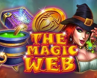 The Magic Web