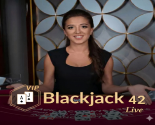 Blackjack VIP 42
