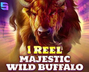 1 Reel - Majestic Wild Buffalo
