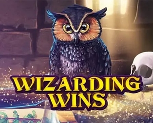 Wizarding Wins