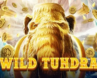 Wild Tundra