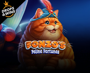 Fonzo’s Feline Fortunes