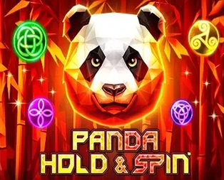 Panda Hold And Spin