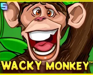 Wacky Monkey