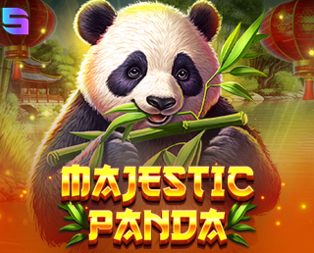Majestic Panda