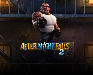 
                            After Night Falls 2