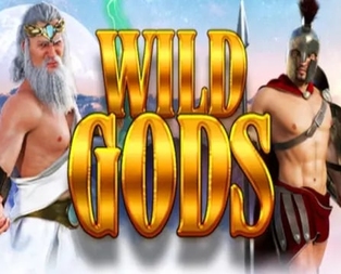 Wild Gods