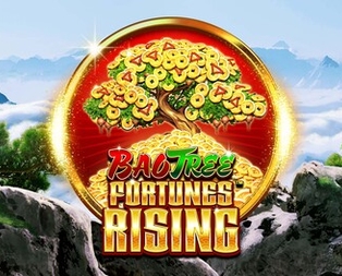 FORTUNES RISING™