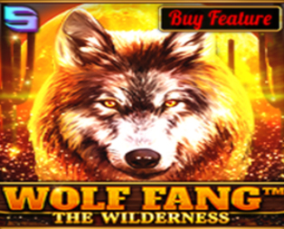 WolfFang - The Wilderness