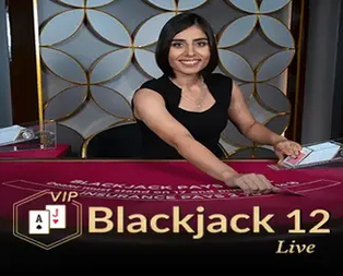 Blackjack VIP 12