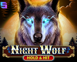 Night Wolf - Hold & Hit