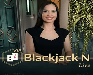 Blackjack VIP N