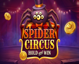 
                            Spider Circus Hold and Win