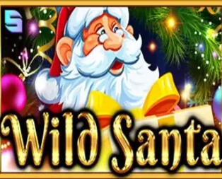 Wild Santa
