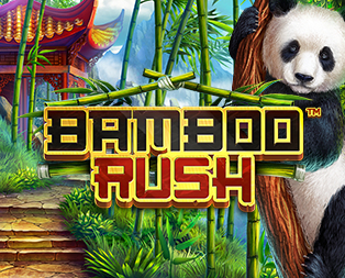 
                            Bamboo Rush