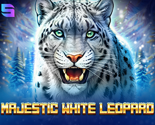 Majestic White Leopard