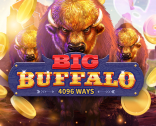 Big Buffalo