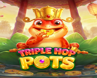
                            Triple Hop Pots